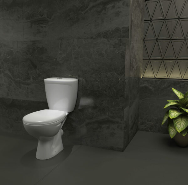 Neon Close Couple WC and Elf Seat Box Set (Top Flush Dual Push Button)