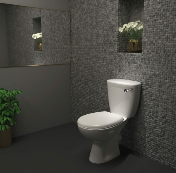 NEON Close Couple WC and MDF Seat Box Set (Front Flush)