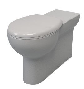 toilet with seat
